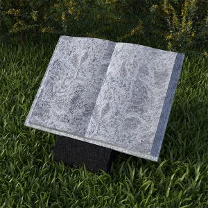 Algemeen-Grafsteen-boek