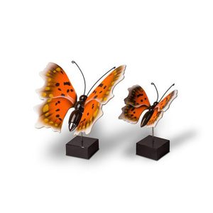 Urnen-Urn-vlinders