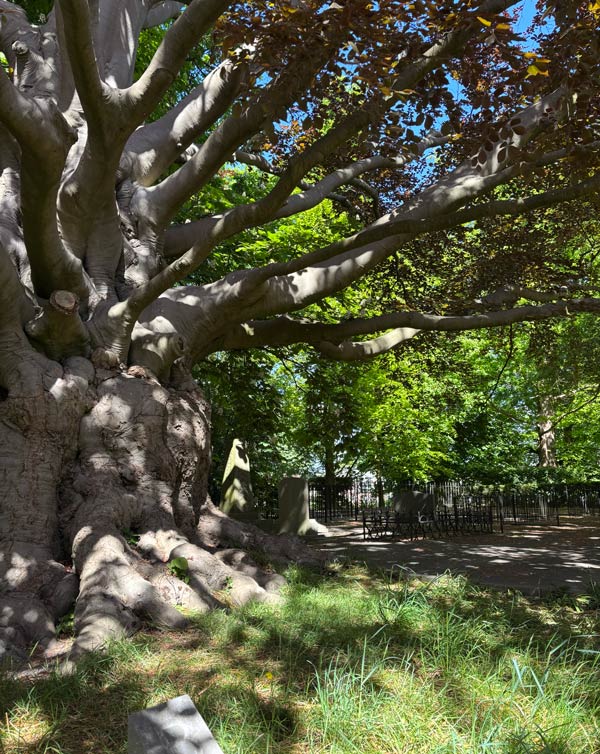 Leiden begraafplaats Groenesteeg Groene steeg grafmonumenten gedenktekens keuzenkamp-marcelis
